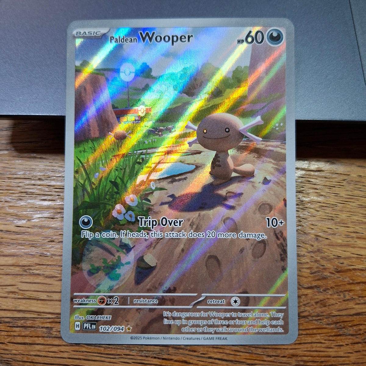 Paldean Wooper Mega Evolution: Phantasmal Flames 102/094 (Art Rare)